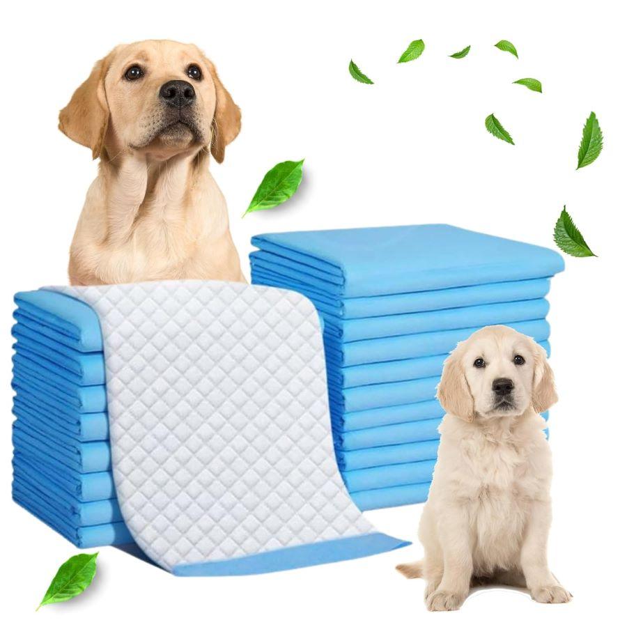 Dog training pads with a dog and puppy.