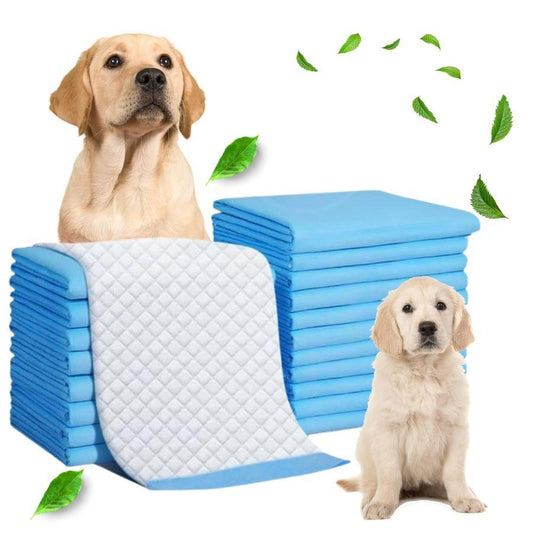 Dog training pads with a dog and puppy.