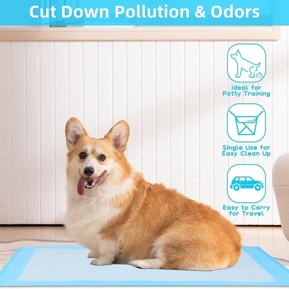 Dog sitting on a C-cure Dog training pad/under sheets and features of the under sheets. 